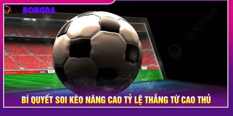 Bí quyết soi kèo nâng cao tỷ lệ thắng từ cao thủ