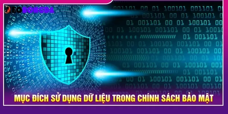 Mục đích sử dụng dữ liệu trong chính sách bảo mật