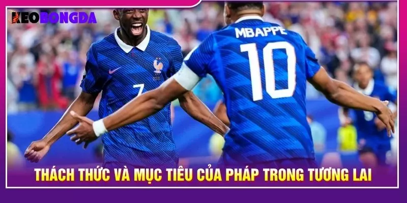 Thách thức và mục tiêu của Pháp trong tương lai