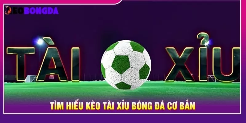 Tìm hiểu kèo tài xỉu bóng đá cơ bản
