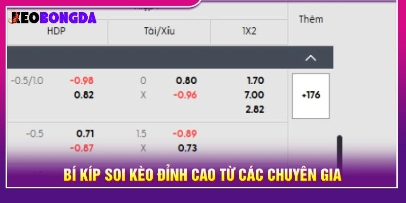 Bí kíp soi kèo đỉnh cao từ các chuyên gia