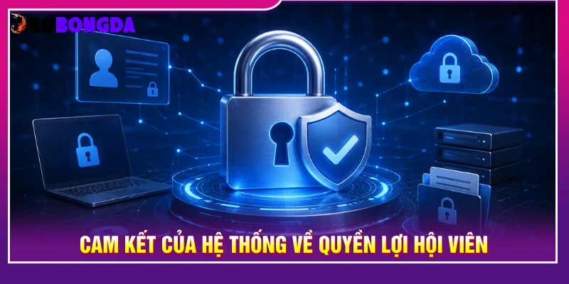 Cam kết từ hệ thống dành cho trải nghiệm theo dõi bóng đá