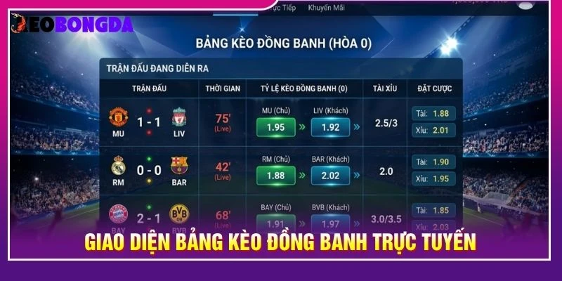 Giao diện bảng kèo đồng banh trực tuyến