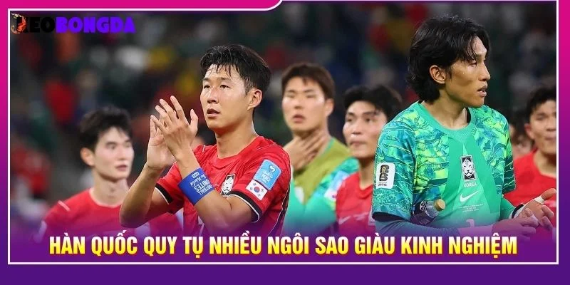 Hàn Quốc quy tụ nhiều ngôi sao giàu kinh nghiệm