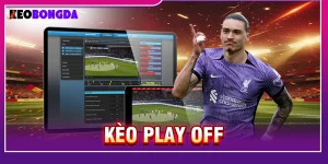 kèo play off