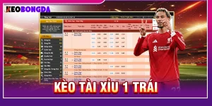 Kèo Tài Xỉu 1 Trái - Khái Niệm Và Phương Pháp Soi Cược