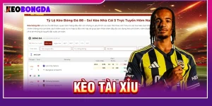 Kèo tài xỉu