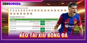 kèo tài xỉu bóng đá