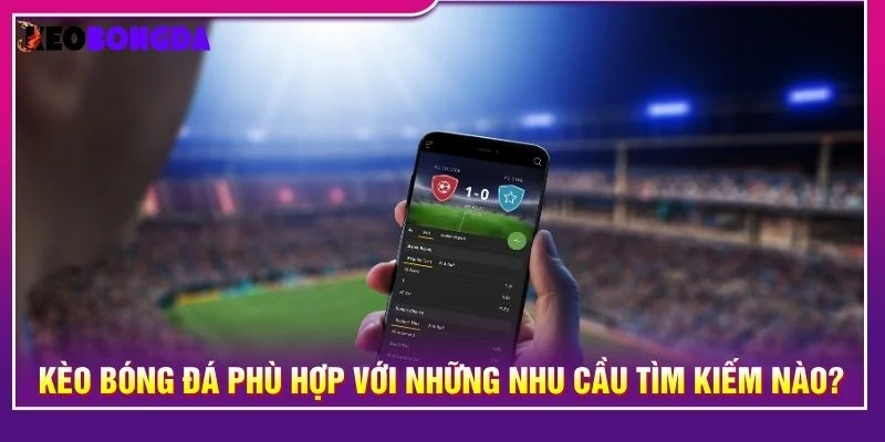 Nền tảng phù hợp với nhiều nhóm người dùng đa dạng