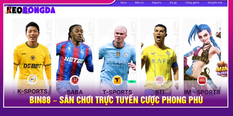 Nhà cái uy tín BIN88 là sân chơi cá cược phòng hủ