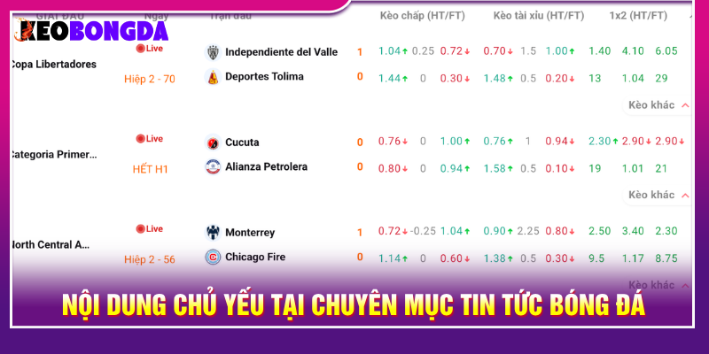 Nội dung được cập nhật tại tin tức bóng đá