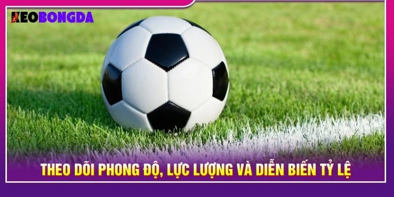 Theo dõi phong độ, lực lượng và diễn biến tỷ lệ